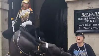 Tourist Screams in Pain, Faints After King's Guard Horse Bites Her | Video