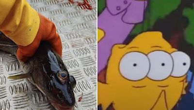 ‘Simpsons’ did it! Reel life three-eyed fish discovery echoes cartoon prediction from 1990