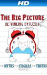 The Big Picture: Rethinking Dyslexia