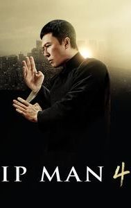 Ip Man 4: The Finale