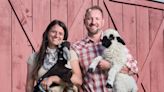 Mountainside farm becomes couple’s home, animal refuge and source for high-end produce