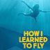 How I Learned to Fly