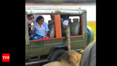 Irresponsible Indian Tourists: Viral Post Highlights Uncivilized Behavior on Kenya Safari | World News - Times of India