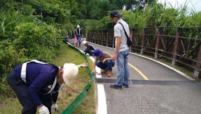 打造淡水河護蟹廊道 共同守護陸蟹平安回家