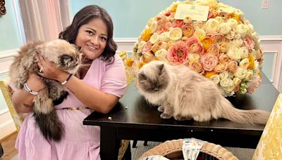 Oprah sends viral ‘childless cat lady’ flowers and a basket of cat toys: ‘Thank you for rising to this moment’