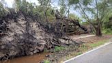 Confirmed tornado rips through Hobe Sound, uprooting trees and damaging buildings