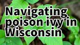 Identifying, preventing, and healing poison ivy in Wisconsin