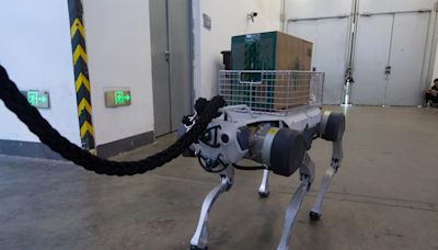 Department of Homeland Security to use robot dogs in raids