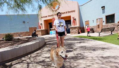 ThunderShirts, dance parties and anxiety meds can help ease dogs' July Fourth dread