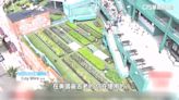 MLB紅襪芬威球場 屋頂開闢菜園直送餐廳