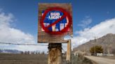 Bud Light sales decline sends ABInBev shares sliding
