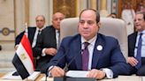 Egyptian troops held in Sudan were not there to support any party -Sisi