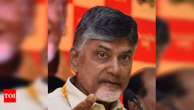 Andhra’s Tourism Sector To Get ‘industry Status’ Soon: Cm Naidu | Hyderabad News - Times of India