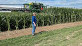 New Bayer short corn variety stands up to high winds, but not over 100 mph