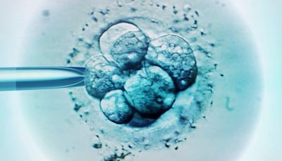 Fall in proportion of IVF cycles funded by NHS