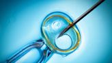 Male Couple Sues New York City Over Denial of IVF Benefits
