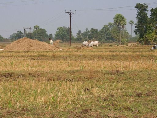 Climate debate: Criticism of the Economic Survey misses the forest for the trees