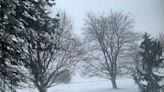 Windsor-Essex and Chatham-Kent under blizzard warning: The latest on the storm