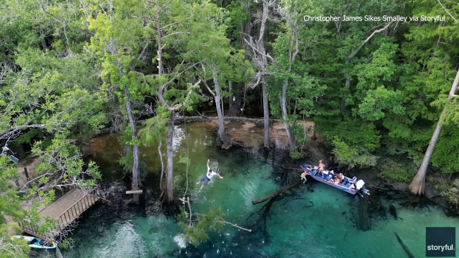 WATCH: Florida man standing in tree falls 60 feet after branch breaks