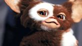 Director de Gremlins dice que Baby Yoda es una copia descarada de Gizmo