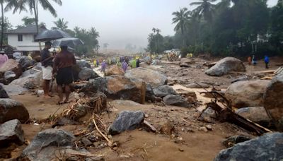 "Kerala Paying Price Of...": BJP Leader On Wayanad Landslides