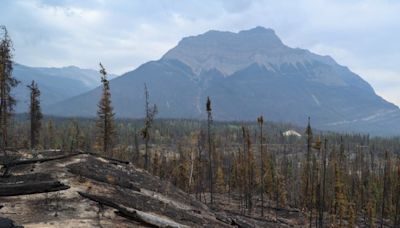 King Charles ‘immensely saddened’ by wildfire destruction in Jasper National Park | Globalnews.ca