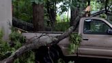 North Carolina family assesses damage after storm causes tree to fall onto car, powerlines