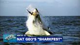 NAtGeo wraps up Sharkfest