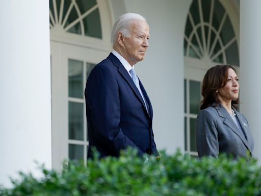 Rahim Mohamed: Joe Biden headed for retirement, Democrats for oblivion