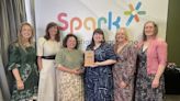 Postnatal hub at Kilkenny hospital wins national innovation award