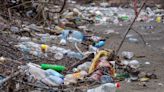 Study reveals unexpected health risk linked to a common type of litter: ‘A large number of unnecessary disease cases’