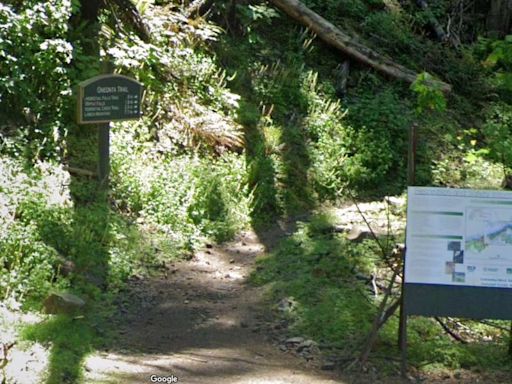 Hiker dies in fall near Oneonta Trail in Columbia River Gorge
