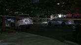 Man shot in the back in Brooklyn