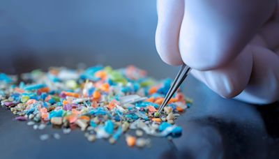 Are there microplastics in your penis? It's possible, new study reveals.