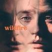 Wildfire (2020 film)