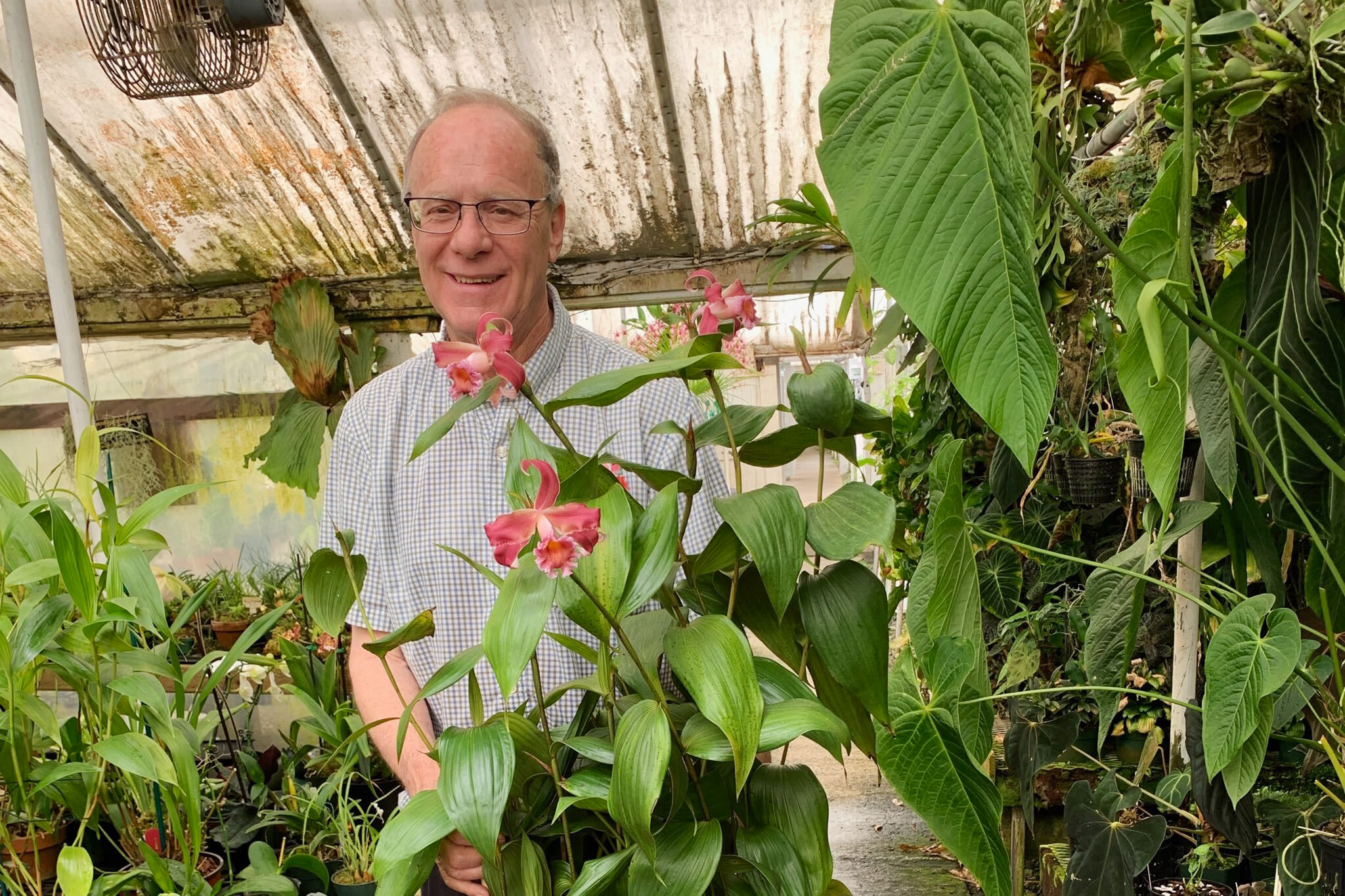 Meet the 'orchid whisperer' for Bay Area elites