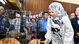 Tengku Permaisuri Selangor disagrees with MBSA’s plans to catch and kill stray dogs