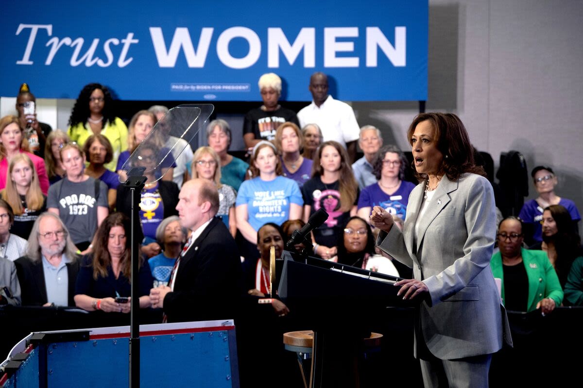 Kamala Harris Is Gaining Swing-State Voters' Trust to Step In for Biden