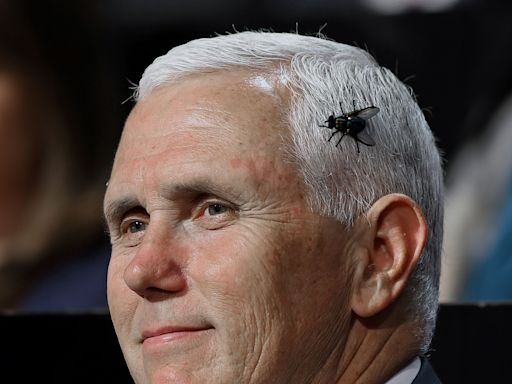 Pence says he won't vote for Trump, not because he wanted Pence hanged, but because Trump's not conservative enough