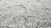 How big was hail from severe storms in central Ohio?