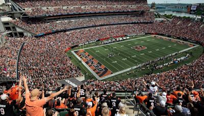 Bengals singled out in state's proposed artificial turf ban for NFL, MLB & MLS franchises