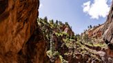 Everything You Need To Know About Hiking The Narrows In Zion National Park