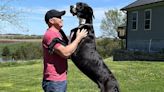 站起來破200公分！才創金氏世界紀錄 世界上最高的狗「年僅3歲」去世了