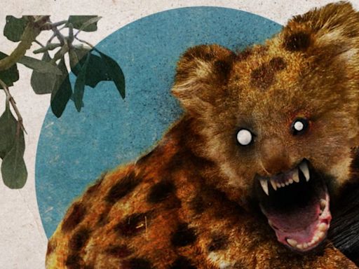 Drop bears: The true history of a fake Australian animal