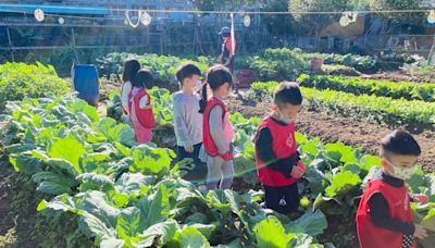 非營利幼兒園結合社區資源 至菜園觀察 (圖)