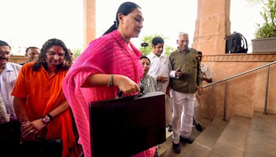 4 lakh jobs, Rs 27,000 crore for health and Rs 15,000 crore for tap water in Rajasthan’s budget 2024-25