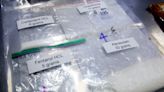 Carfentanil is back in Florida and causing overdoses, medical examiners say