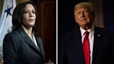 Kamala Harris buscará la nominación demócrata: ¿cómo sería la posible contienda contra Donald Trump?