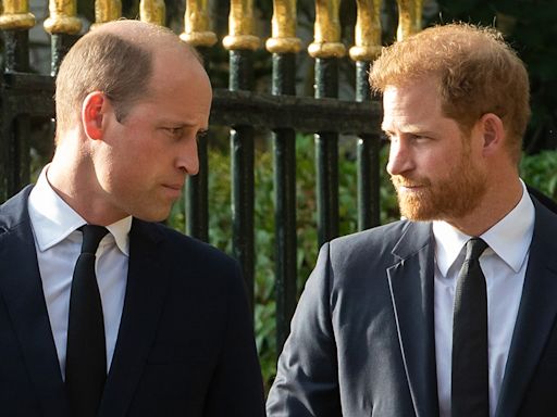 Prince William, Prince Harry feud could finally be resolved thanks to Princess Diana's family: expert