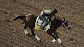 Kentucky Derby runner-up by a nose Sierra Leone is getting an adjustment for the Belmont - WTOP News